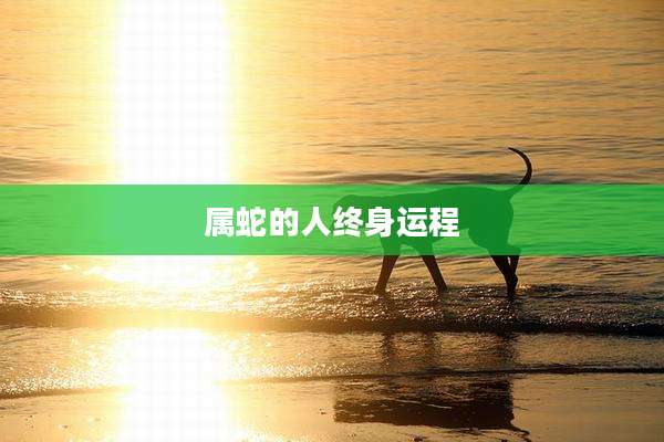 属蛇的人终身运程