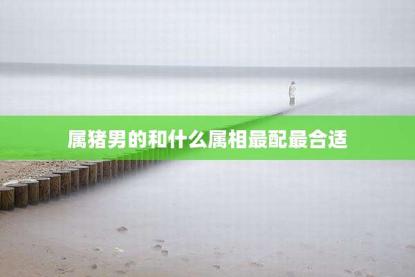 属猪男的和什么属相最配最合适