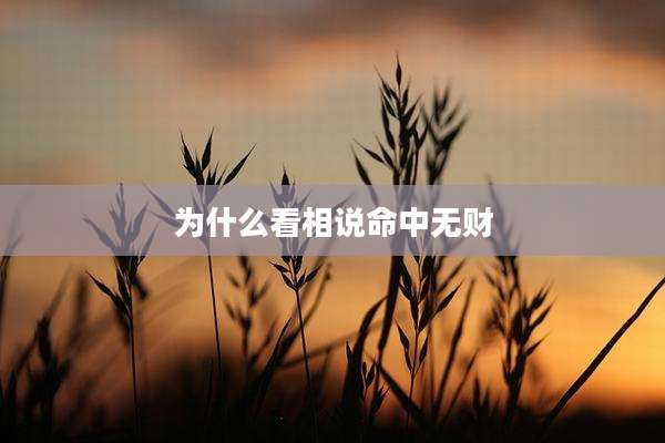 为什么看相说命中无财