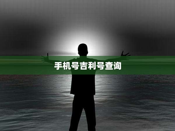 手机号吉利号查询