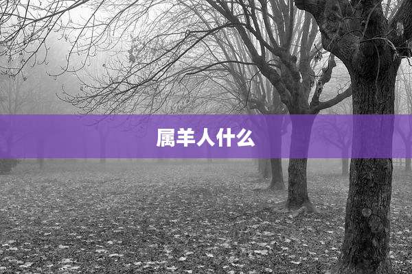 属羊人什么