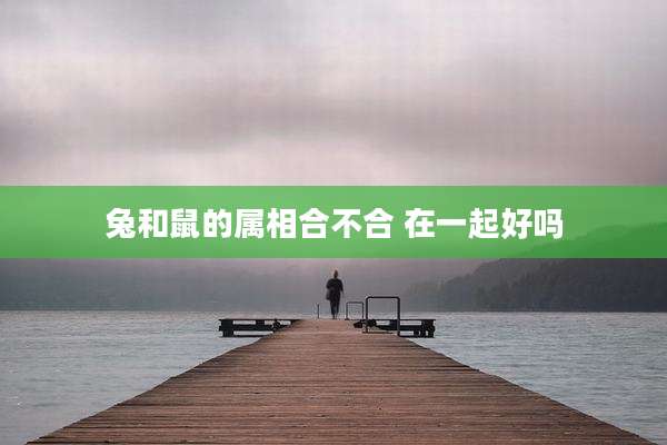 兔和鼠的属相合不合 在一起好吗