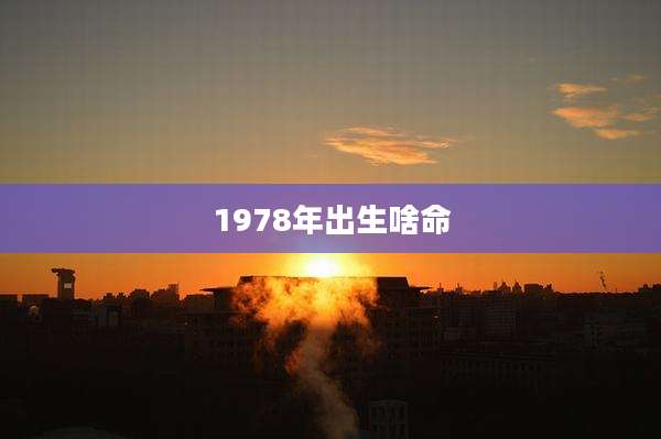1978年出生啥命