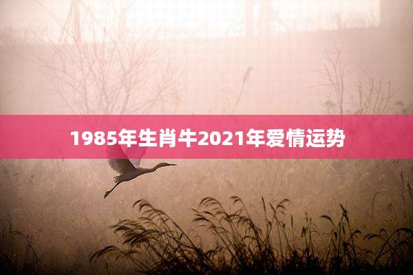 1985年生肖牛2021年爱情运势