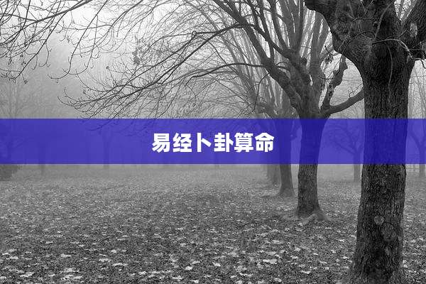 易经卜卦算命