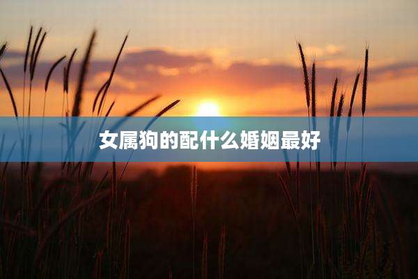 女属狗的配什么婚姻最好