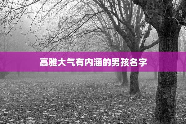高雅大气有内涵的男孩名字