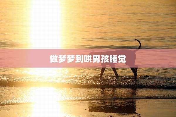 做梦梦到哄男孩睡觉