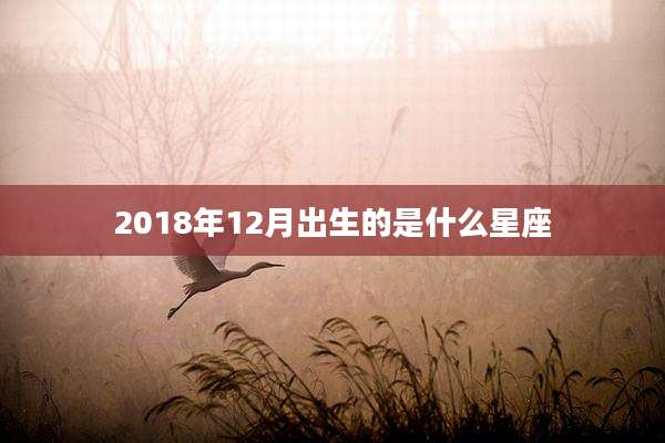 2018年12月出生的是什么星座