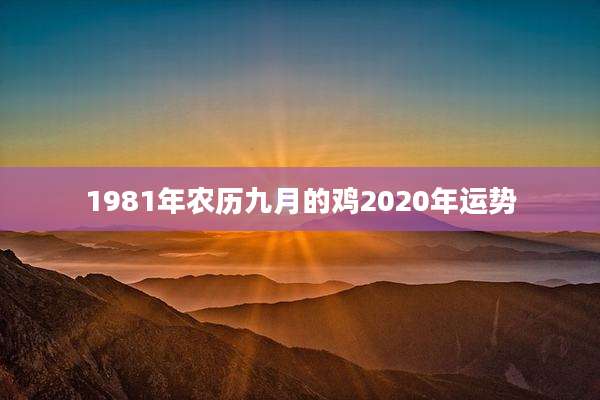 1981年农历九月的鸡2020年运势