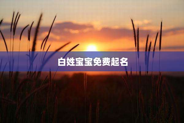 白姓宝宝免费起名
