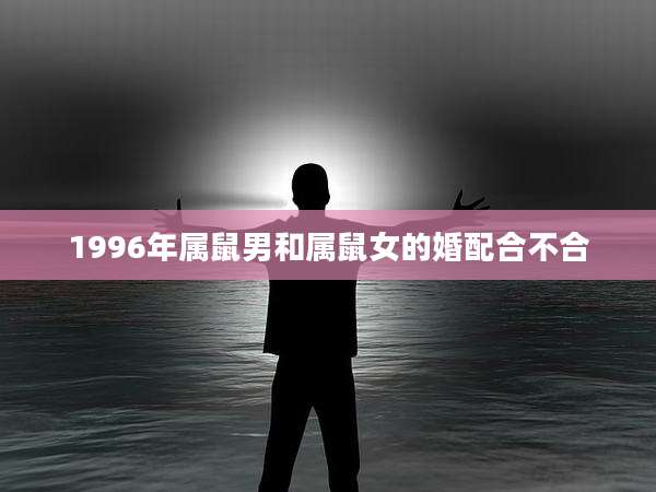 1996年属鼠男和属鼠女的婚配合不合