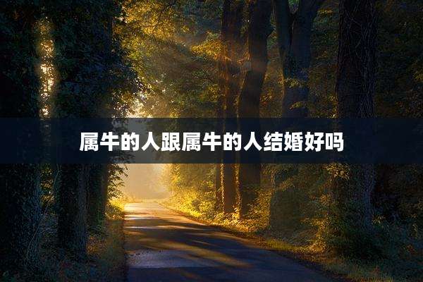 属牛的人跟属牛的人结婚好吗