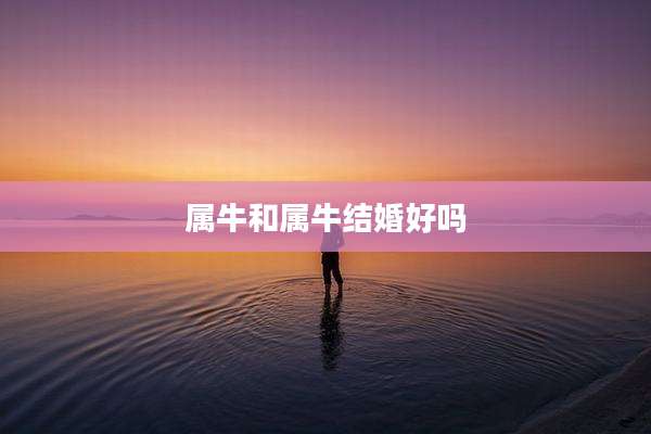 属牛和属牛结婚好吗