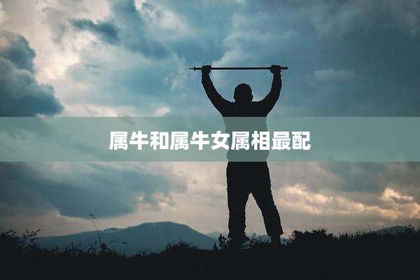 属牛和属牛女属相最配