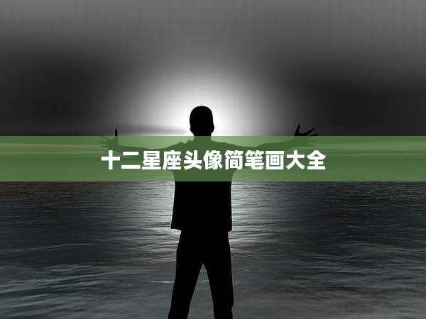 十二星座头像简笔画大全