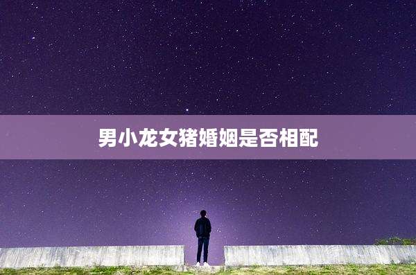 男小龙女猪婚姻是否相配