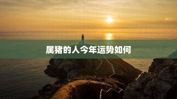 属猪的人今年运势如何