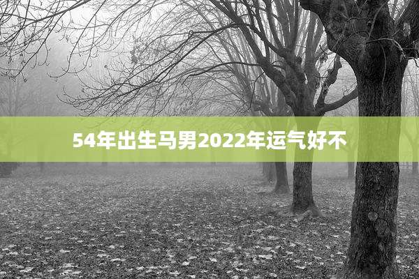 54年出生马男2022年运气好不