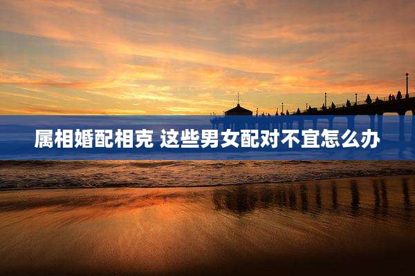 属相婚配相克 这些男女配对不宜怎么办