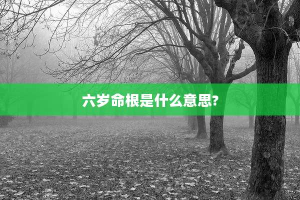 六岁命根是什么意思?