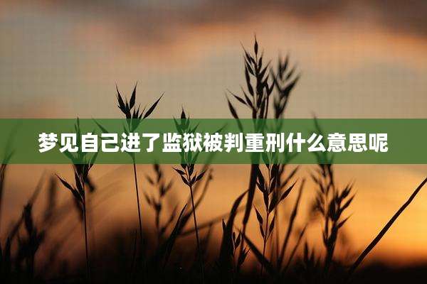 梦见自己进了监狱被判重刑什么意思呢