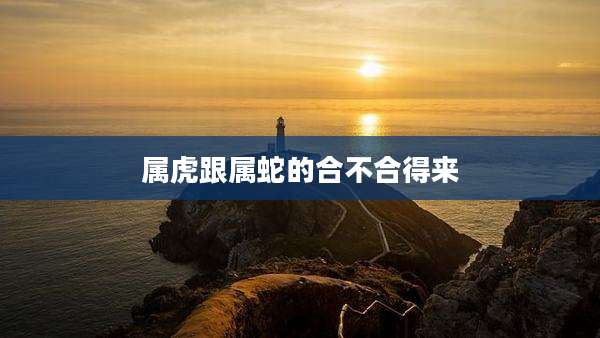 属虎跟属蛇的合不合得来