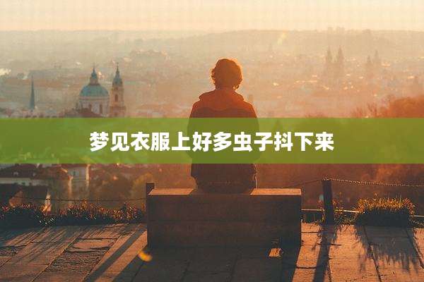 梦见衣服上好多虫子抖下来