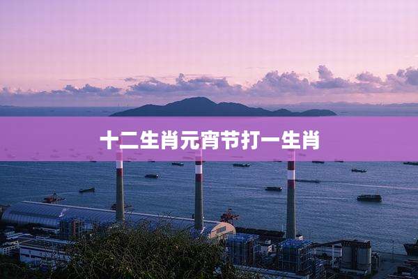 十二生肖元宵节打一生肖