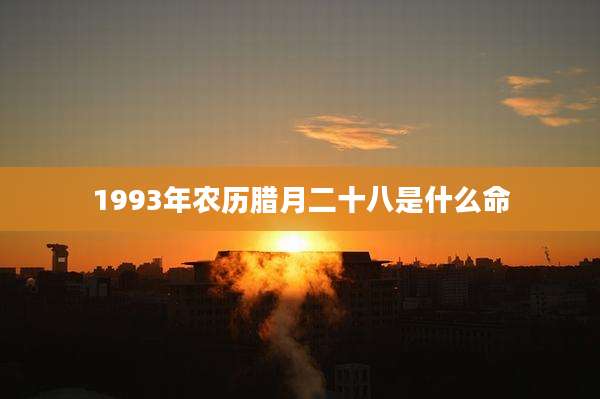 1993年农历腊月二十八是什么命