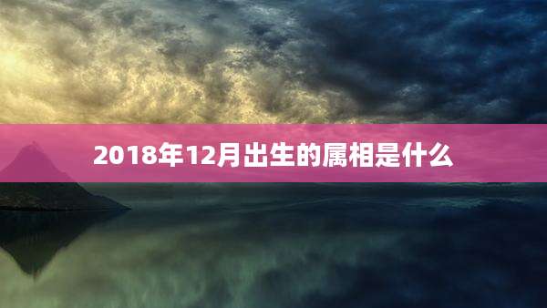 2018年12月出生的属相是什么
