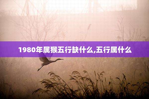 1980年属猴五行缺什么,五行属什么