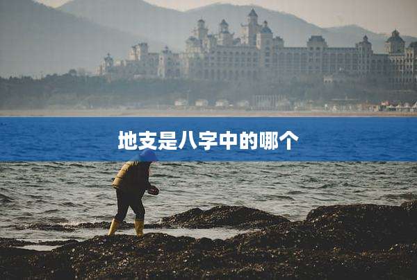 地支是八字中的哪个