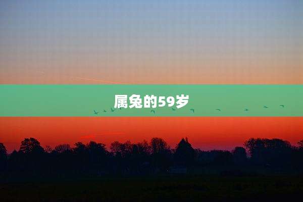 属兔的59岁