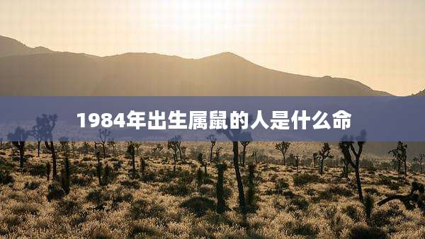 1984年出生属鼠的人是什么命