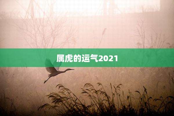 属虎的运气2021