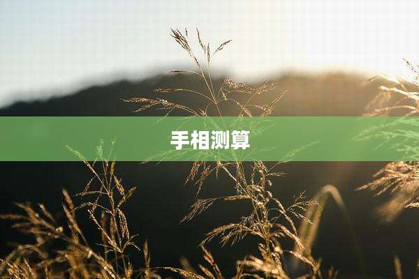 手相测算