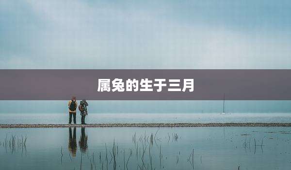 属兔的生于三月