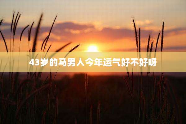 43岁的马男人今年运气好不好呀