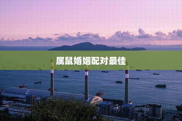 属鼠婚姻配对最佳
