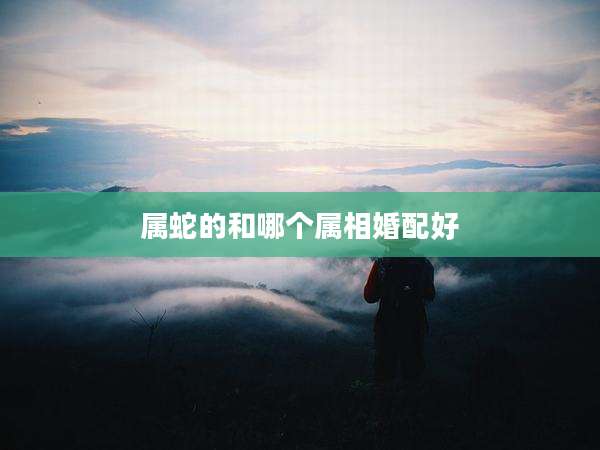 属蛇的和哪个属相婚配好