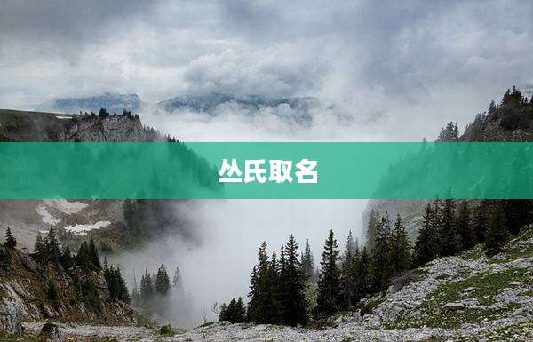 丛氏取名