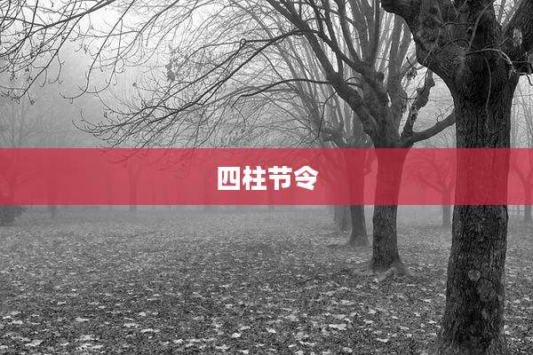 四柱节令