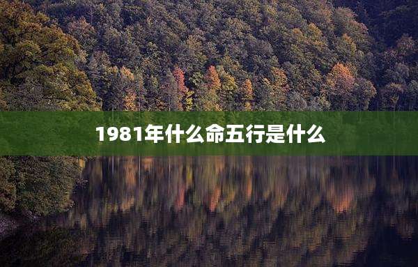 1981年什么命五行是什么