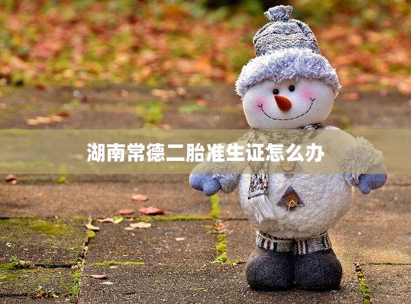 湖南常德二胎准生证怎么办