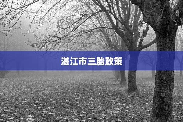 湛江市三胎政策