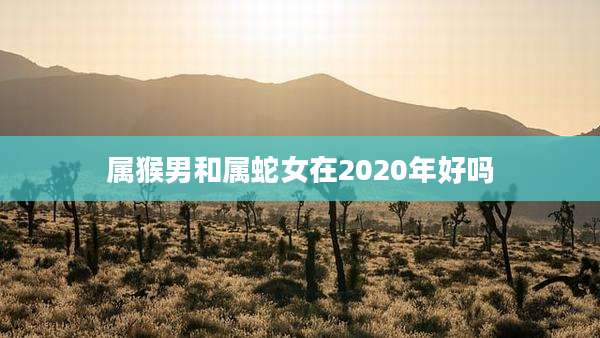 属猴男和属蛇女在2020年好吗