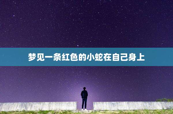 梦见一条红色的小蛇在自己身上