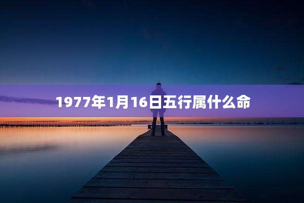 1977年1月16日五行属什么命