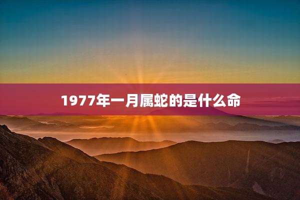 1977年一月属蛇的是什么命